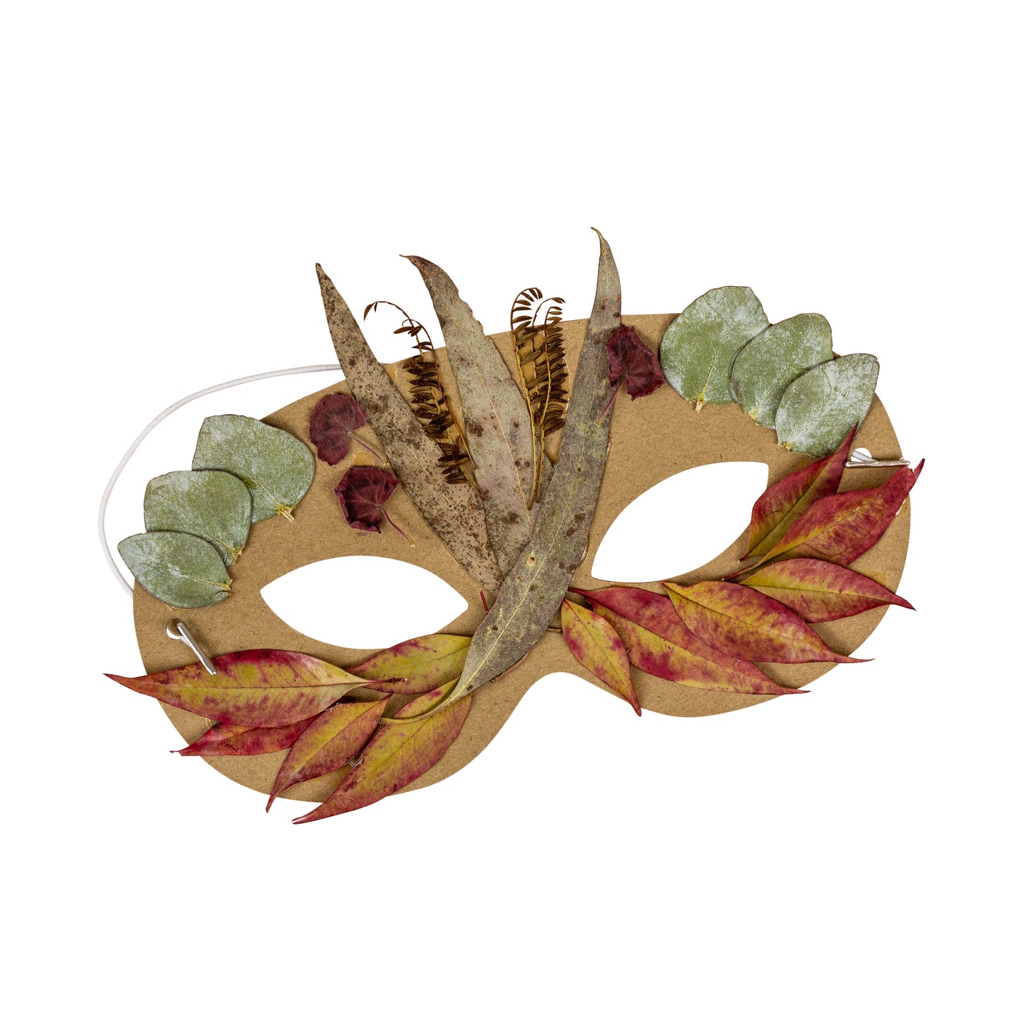 Nature Art Set