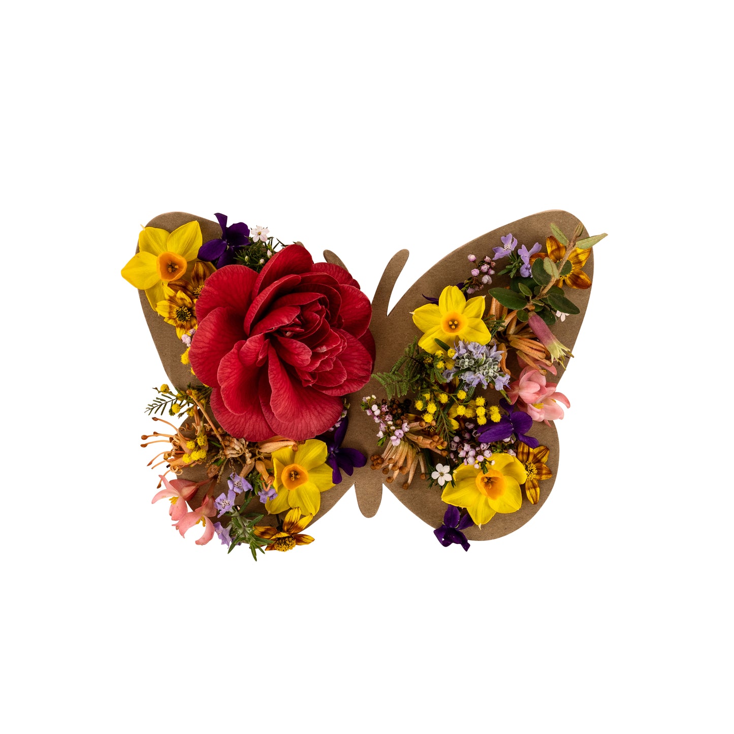 Nature Art Set